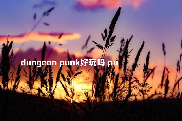 dungeon punk好玩吗 pubg好玩吗